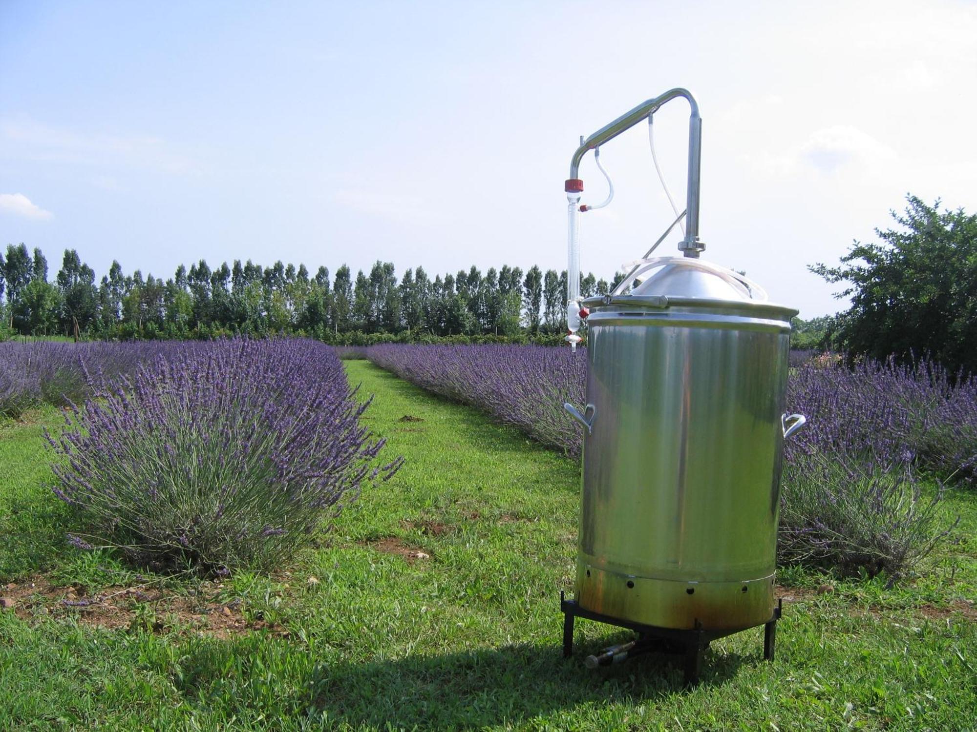 Agriturismo Domus Magna Povoletto المظهر الخارجي الصورة