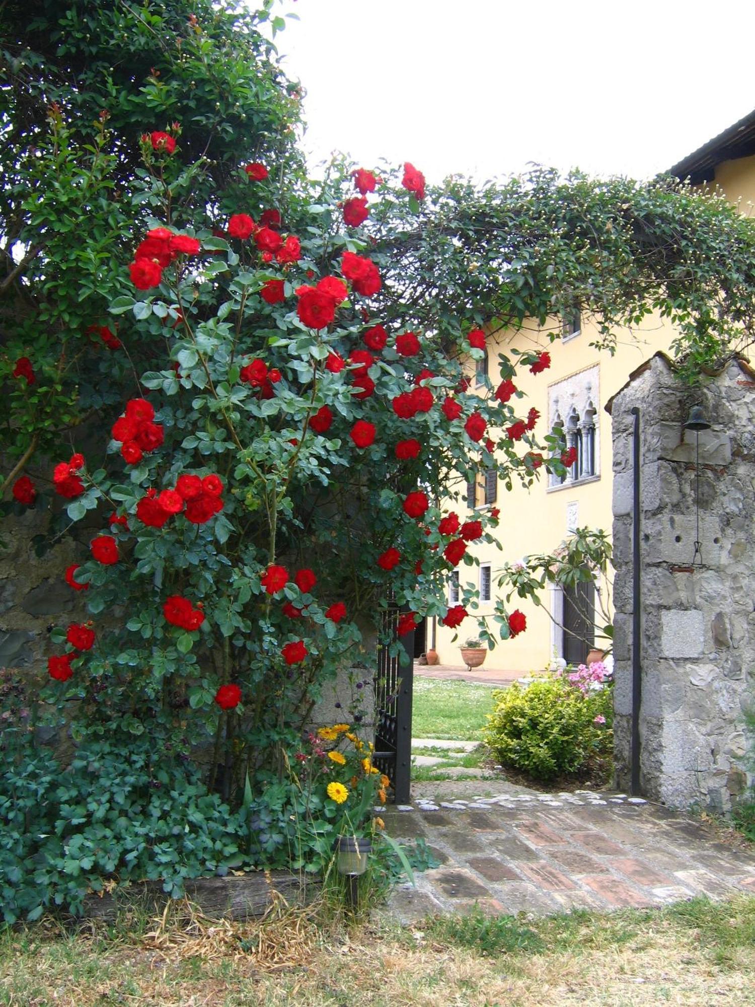 Agriturismo Domus Magna Povoletto المظهر الخارجي الصورة