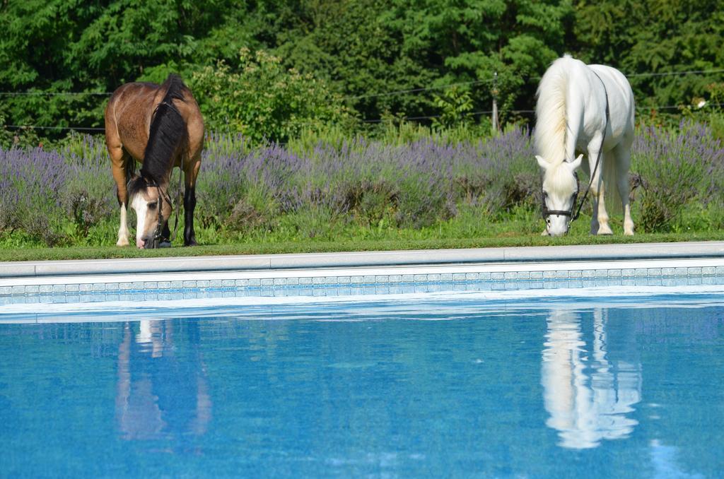 Agriturismo Domus Magna Povoletto المظهر الخارجي الصورة