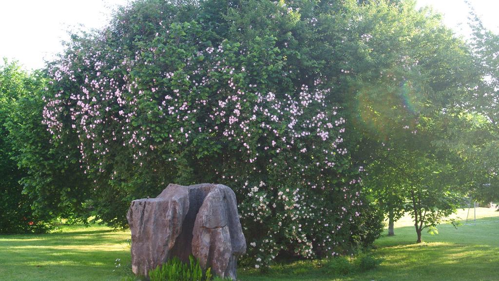 Agriturismo Domus Magna Povoletto المظهر الخارجي الصورة
