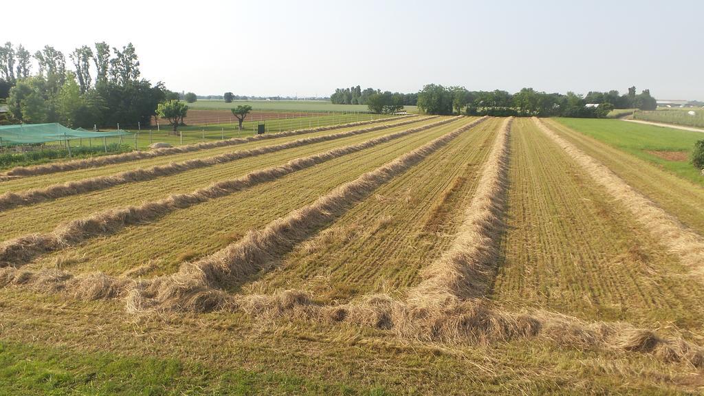 Agriturismo Domus Magna Povoletto المظهر الخارجي الصورة